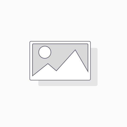 Consultoría / Soporte IT